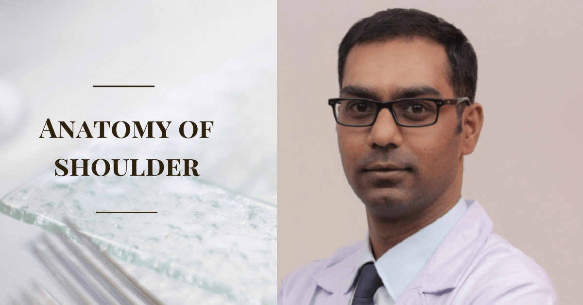 Anatomy-of-shoulder-Featured-images-Praxis