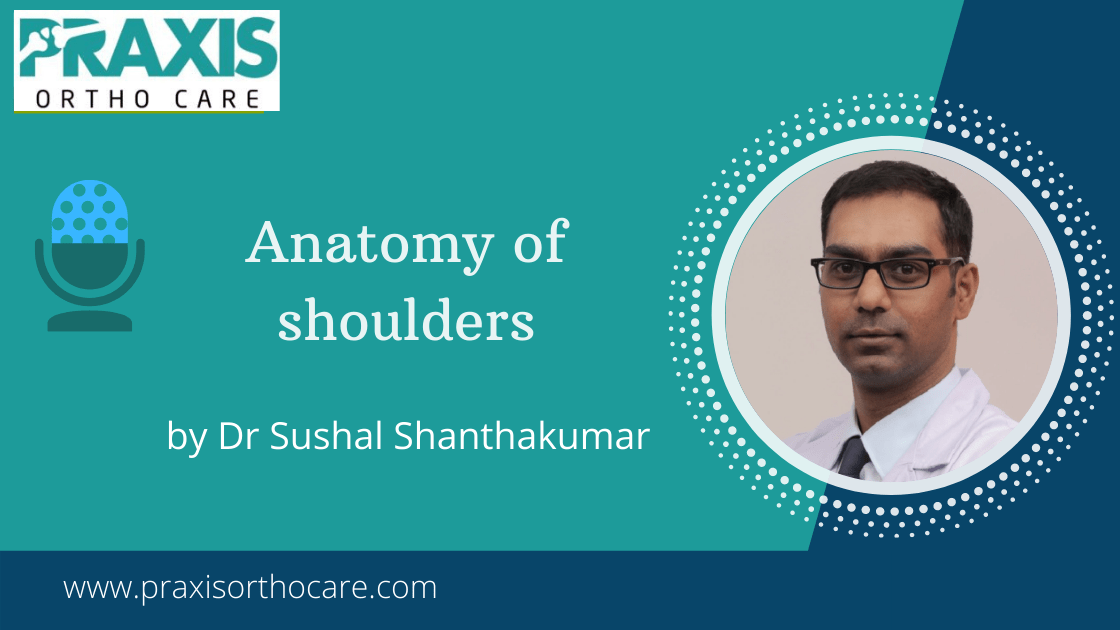 Anatomy of shoulder - Best Shoulder Pain Treatment center in Bangalore
